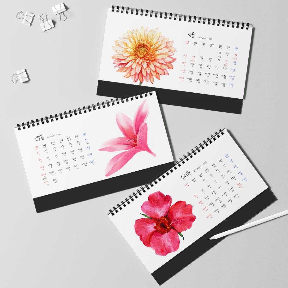Three spiral-bound desk calendars with watercolor floral designs are arranged on a light gray surface with binder clips and a white stylus. Numbers in Calendar are written in Korea which is great for Korean language learner. Korean-English bilingual calendar.