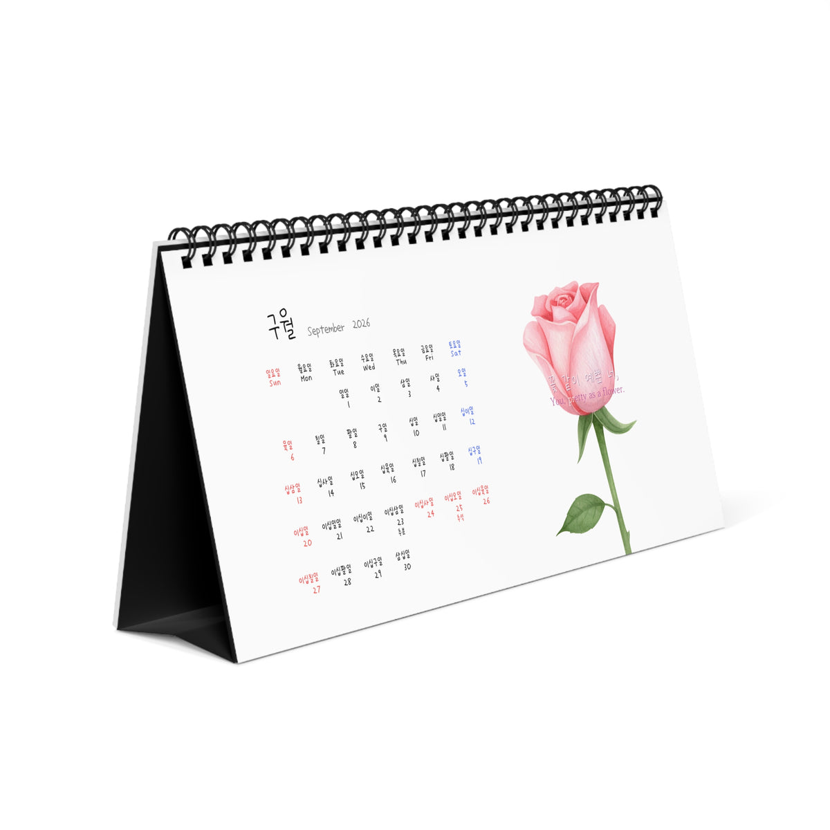 A spiral-bound desk calendar shown at an angle on a white background. The page features a pink rose illustration on the right side and a September 2021 calendar grid on the left. Numbers in Calendar are written in Korea which is great for Korean language learner. Korean-English bilingual. 