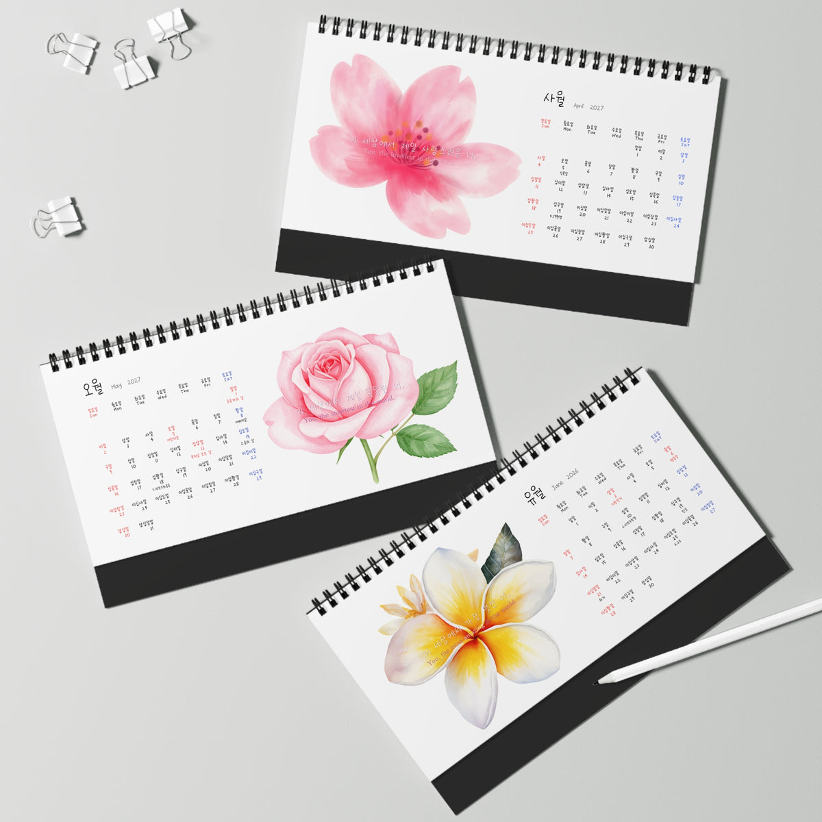 Three spiral-bound desk calendars with watercolor floral designs are arranged on a light gray surface with binder clips and a white stylus nearby. The calendars feature pink and yellow flowers on white pages with black spiral binding and black page edges. Numbers in Calendar are written in Korea which is great for Korean language learner. Korean-English bilingual calendar.