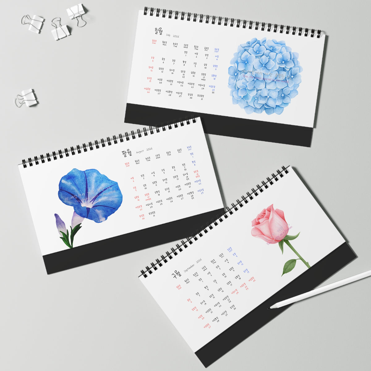 Three spiral-bound desk calendar pages arranged on a light gray surface, each showing a different watercolor flower: blue hydrangea, blue morning glory, and pink rose. Small binder clips and a white stylus are placed around them. Numbers in Calendar are written in Korea which is great for Korean language learner. Korean-English bilingual calendar.