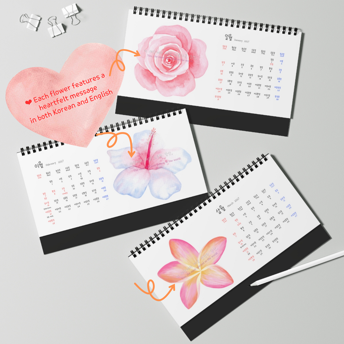 Three spiral-bound desk calendars with watercolor floral designs are arranged on a light gray background. One calendar shows a pink rose, another a pink and blue hibiscus, and the third a pink plumeria. Numbers in Calendar are written in Korea which is great for Korean language learner. Korean-English bilingual. Each flower features a heartfelt message in both Korean and English.