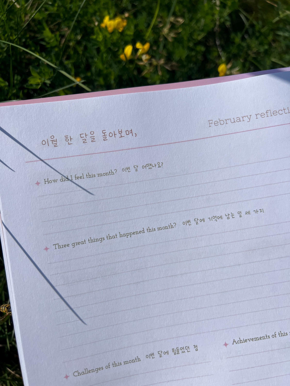 2027 Korea Color Planner Notebook | Hangul Learning Journal