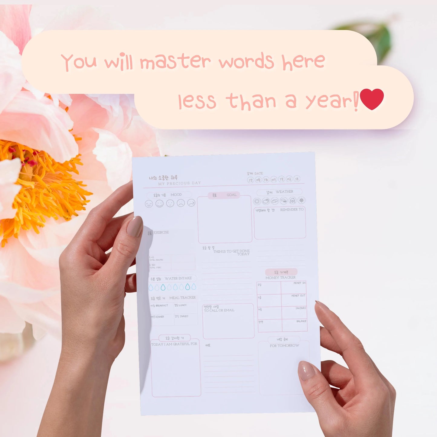 2026 & 2027 Printable Korean Planner Templates Bundle