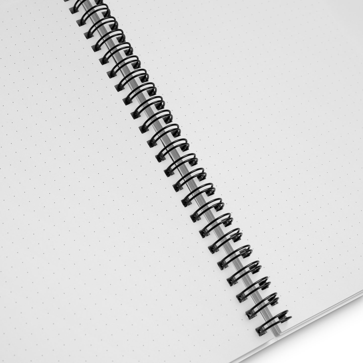 Ilgijang Journal Spiral Notebook with Learning Korean :)